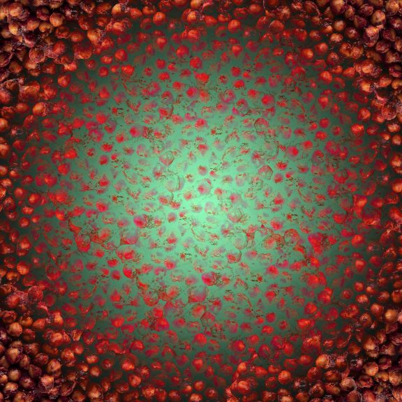 Kirschkerne-05