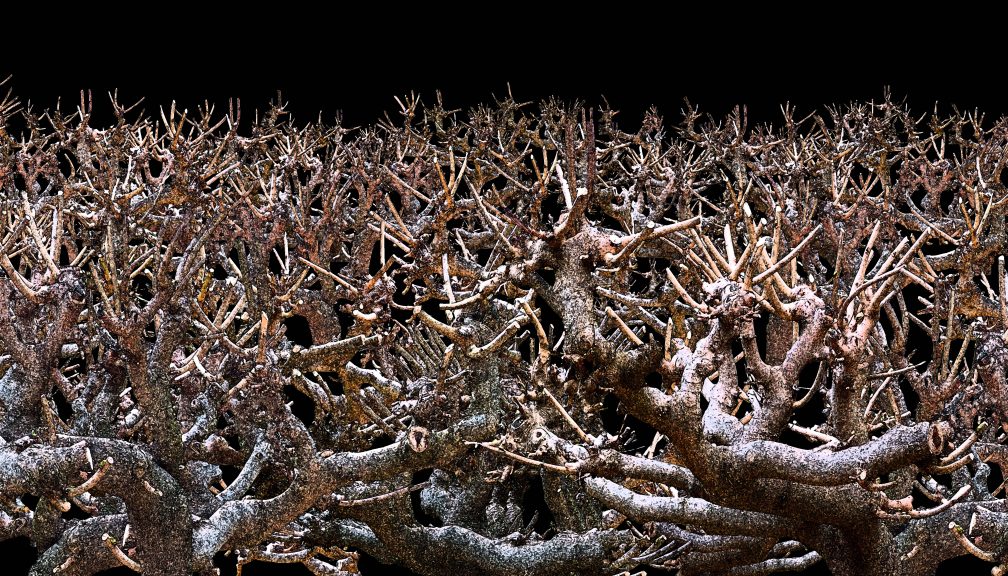 Natur-01