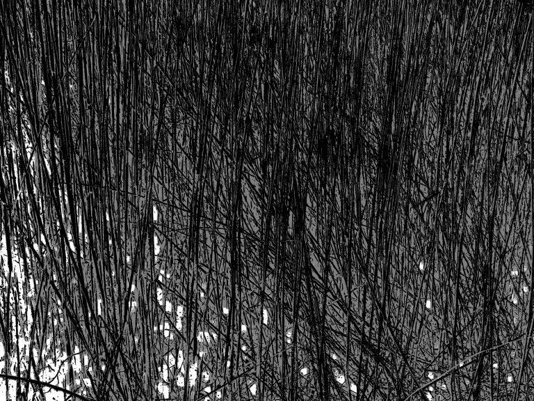 Natur-02
