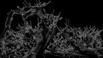 Platane-Muriel-02