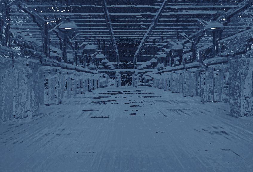 Saal-17