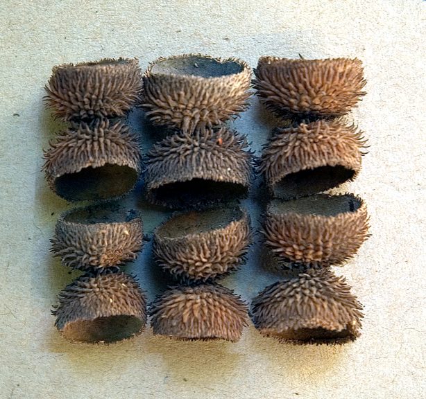 Samen-04
