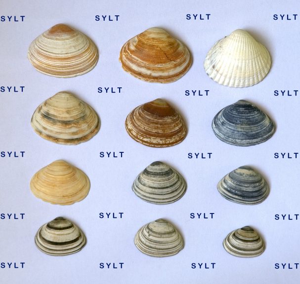 Sylt-15