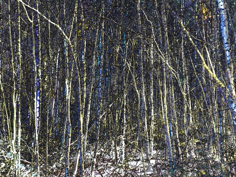 Wald-01