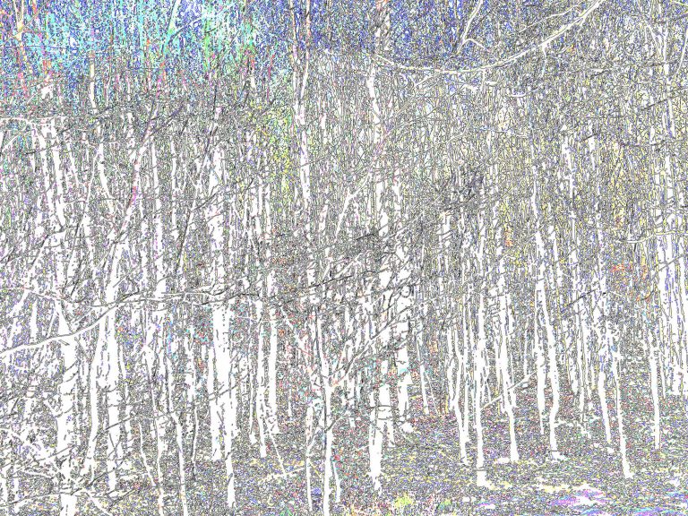 Wald-04