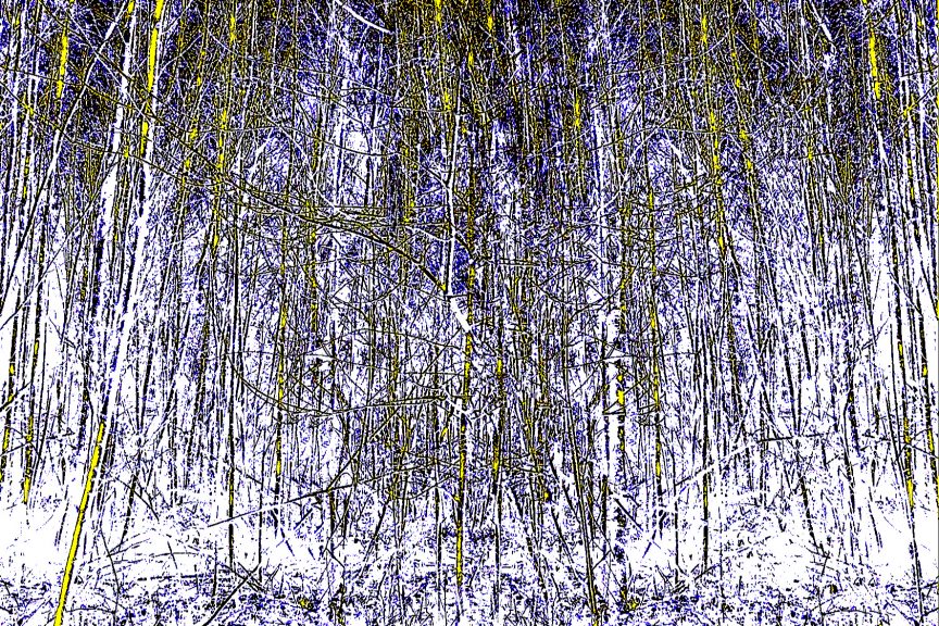 Wald-09