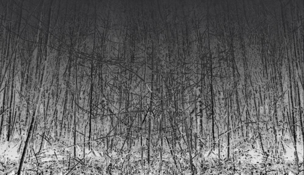 Wald-27