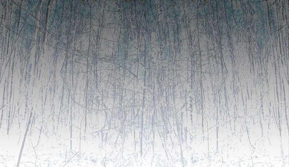 Wald-30