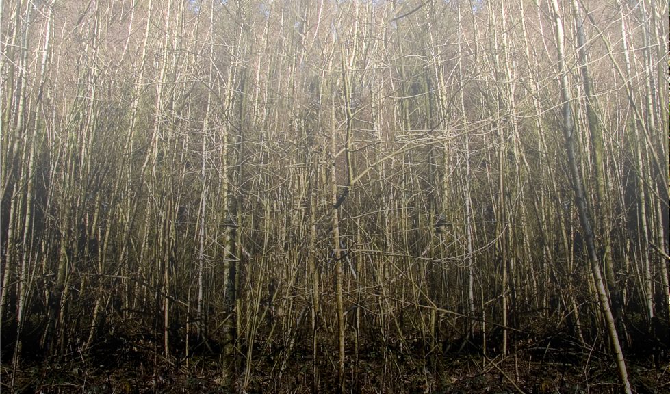 Wald-32